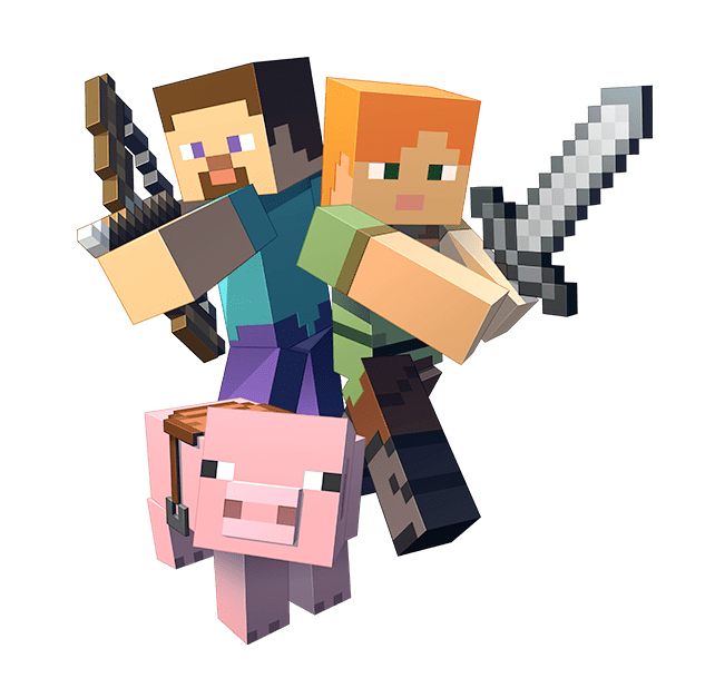 Minecraft VDS nedir